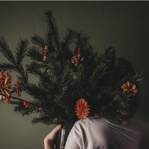 The History and Lore of Christmas Trees and Wreaths