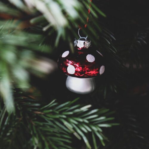 The Perfect Christmas Tree for a 9-Foot Ceiling